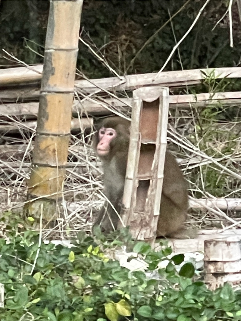 No.00075 宣材写真